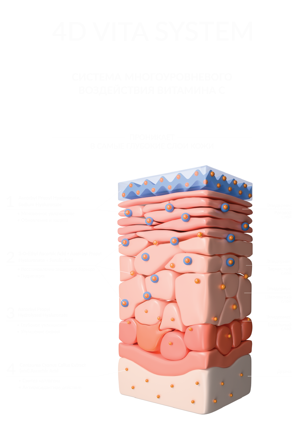 4D VITA SISTEM